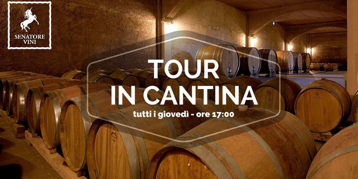 calabria wine tour