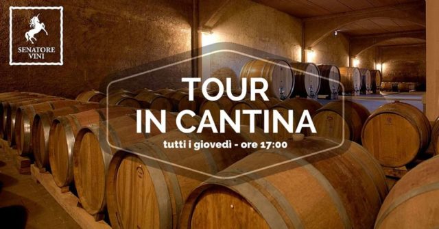 wine tour calabria