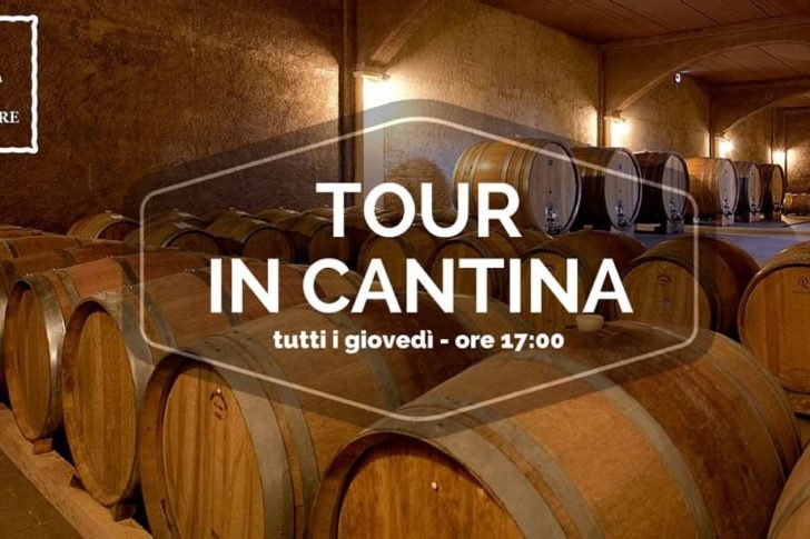 wine tour calabria