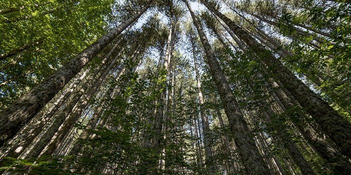 4ac90c34ce3726671b9b5e3fc272e120